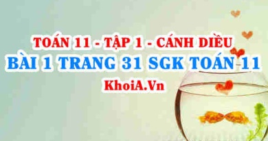 Bài 1 trang 31 SGK Toán 11 tập 1 Cánh Diều